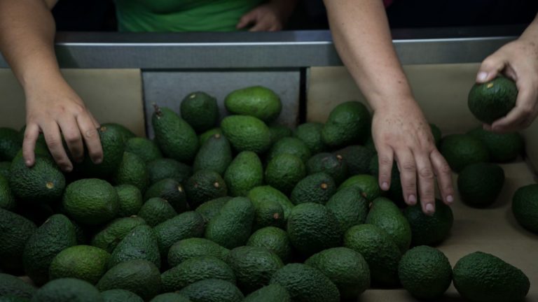 México mandó más aguacate a China en 6 meses que en todo 2017