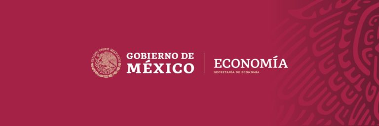 México apoya modelo de desarrollo de “circulación dual” para recuperación económica, resalta secretaria mexicana