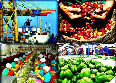 Mercado chino se convierte en “estabilizador” de exportaciones agrícolas latinoamericanas